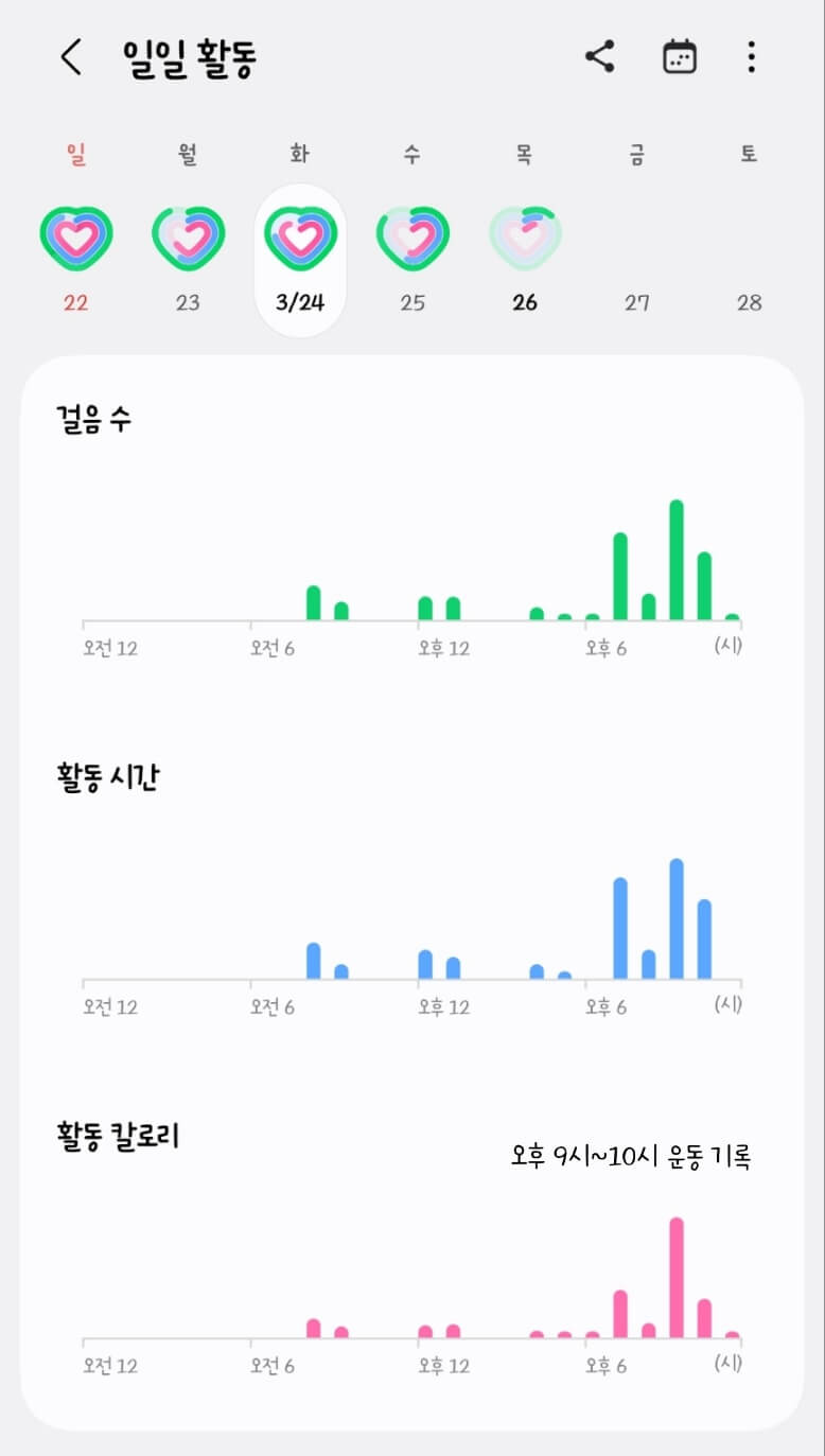 저녁운동기록