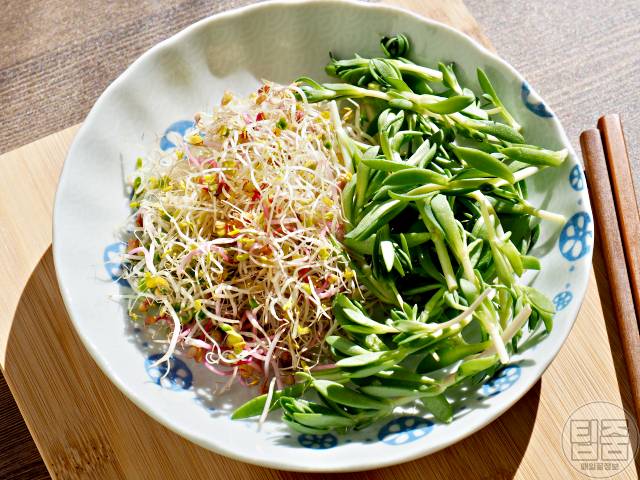 돌나물 효능,돌나물 무침 맛있게 만드는 법