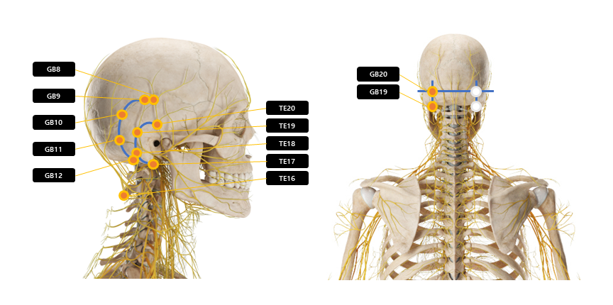 목 주변 혈자리 요약