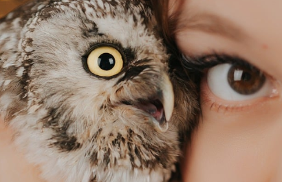 인간과 희귀 동물의 관계 (전설, 문화, 영향)