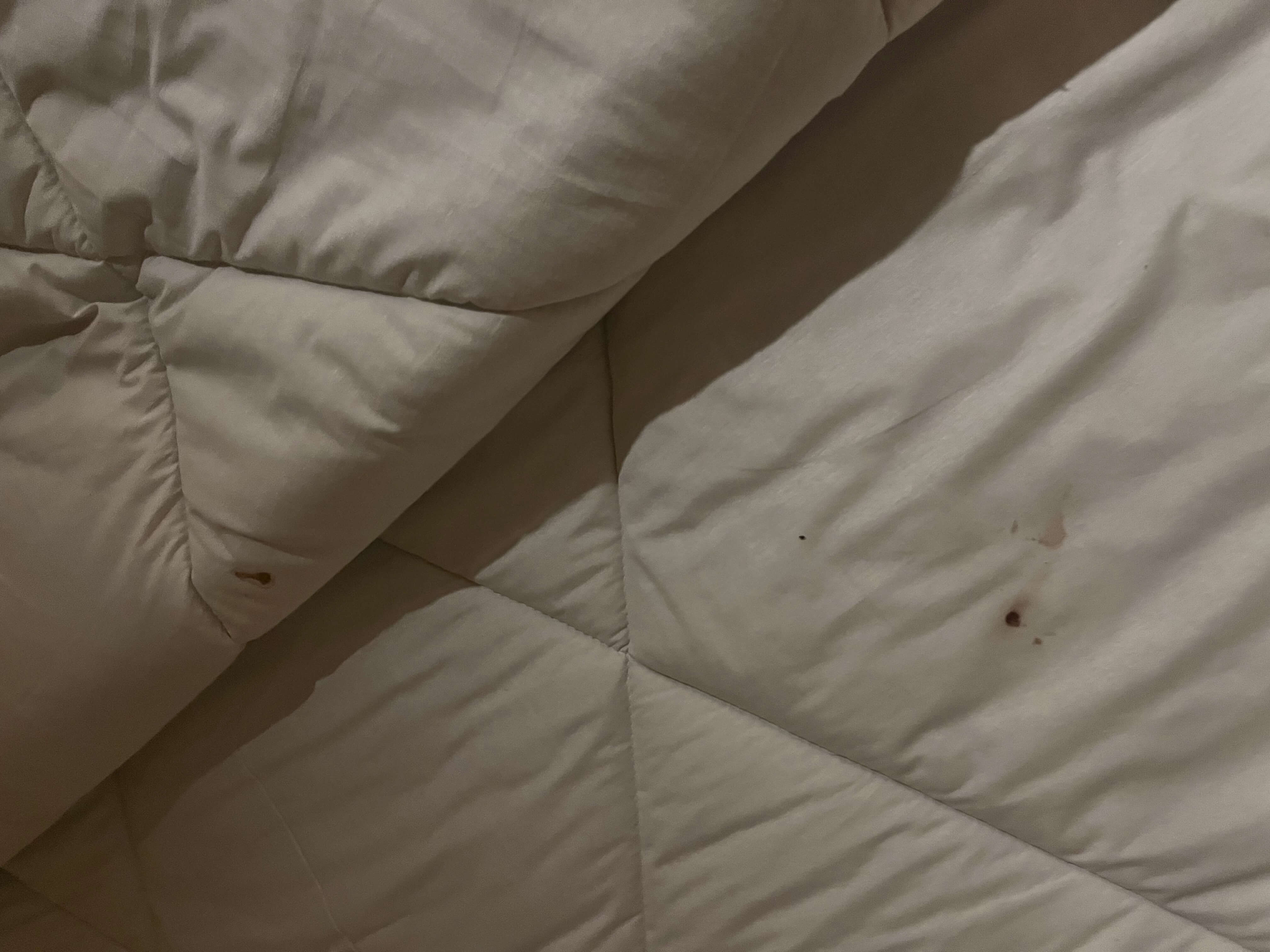 Albabenshal Lodge Siwa