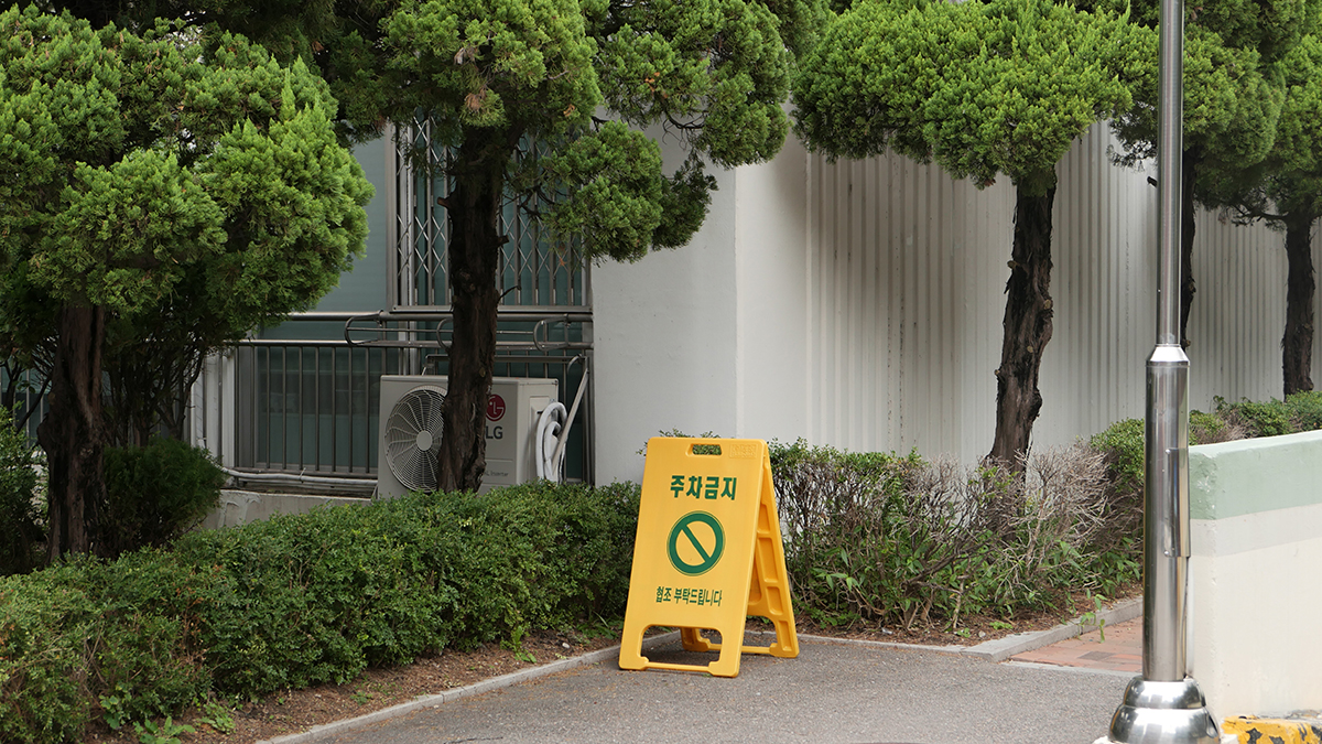 노란색과 초록색이 대비를 이루는 선명한 컬러 사진. 라이카 Q 특유의 진득한 색감 표현으로 일상의 사물이나 풍경을 생동감 있게 포착한 모습