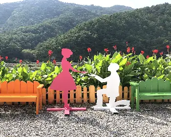 평창 백일홍 축제_33