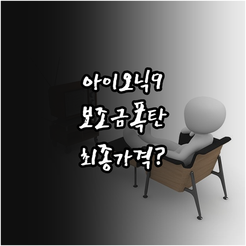 거주 지역별 아이오닉 9 보조금 차이..