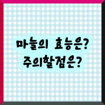 마늘의 효능은주의할점은