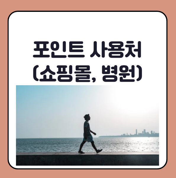 건강생활실천지원금 포인트 사용처