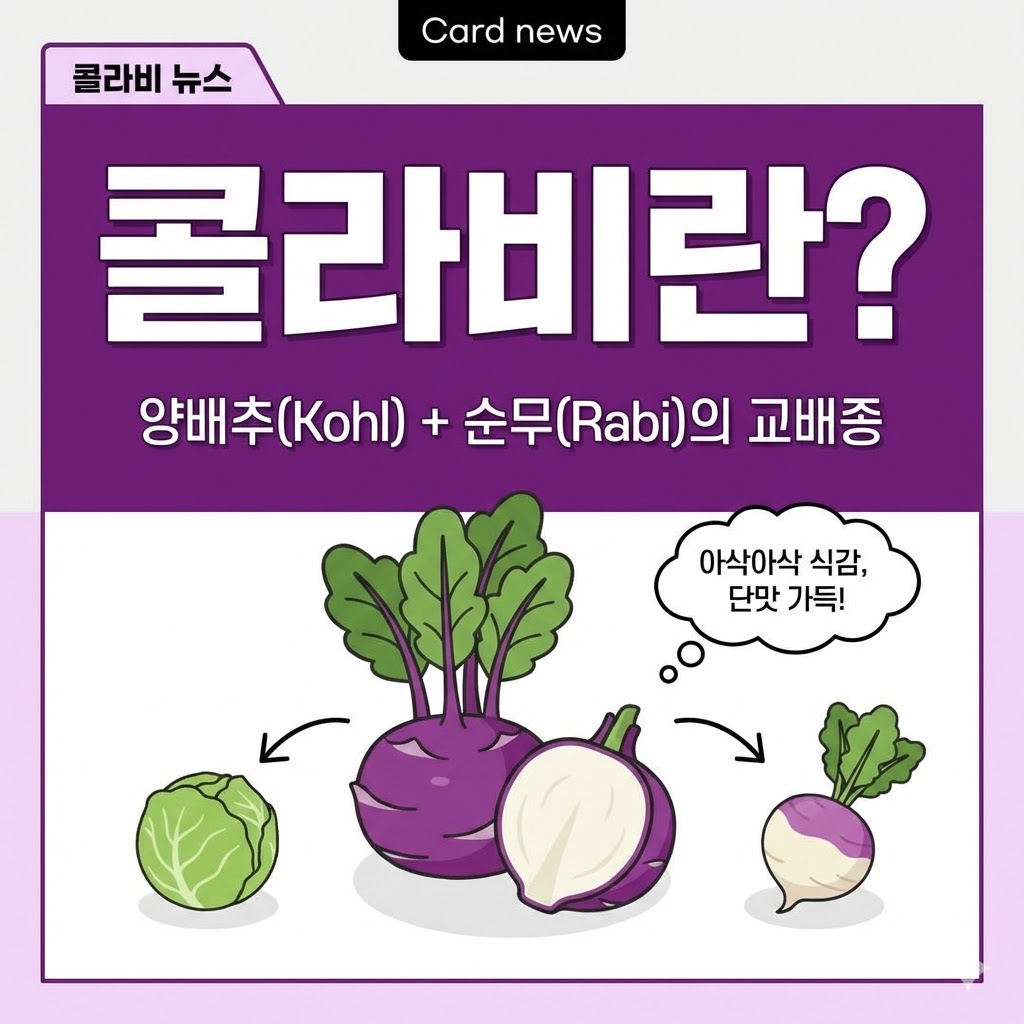 콜라비 효능
