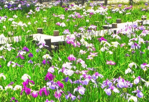 우리의 삶을 더욱 풍요롭게