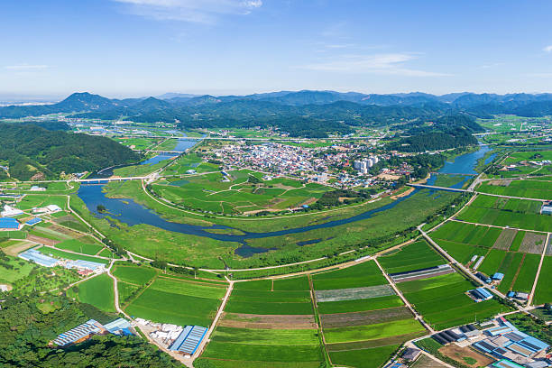 농어촌 기본소득