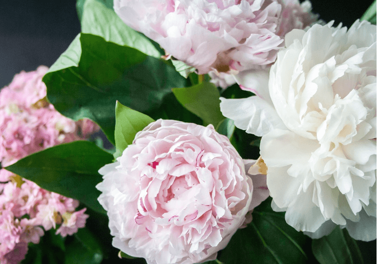 빼빼로데이 선물 추천