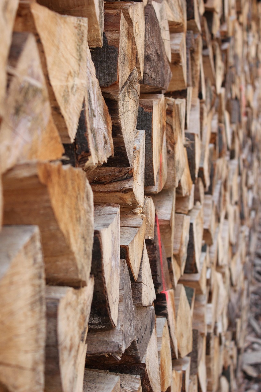 임업직불금 준비서류