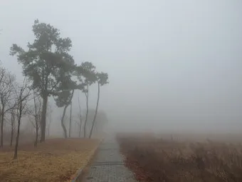 보슬비 부슬비 차이 궁금하시죠_19