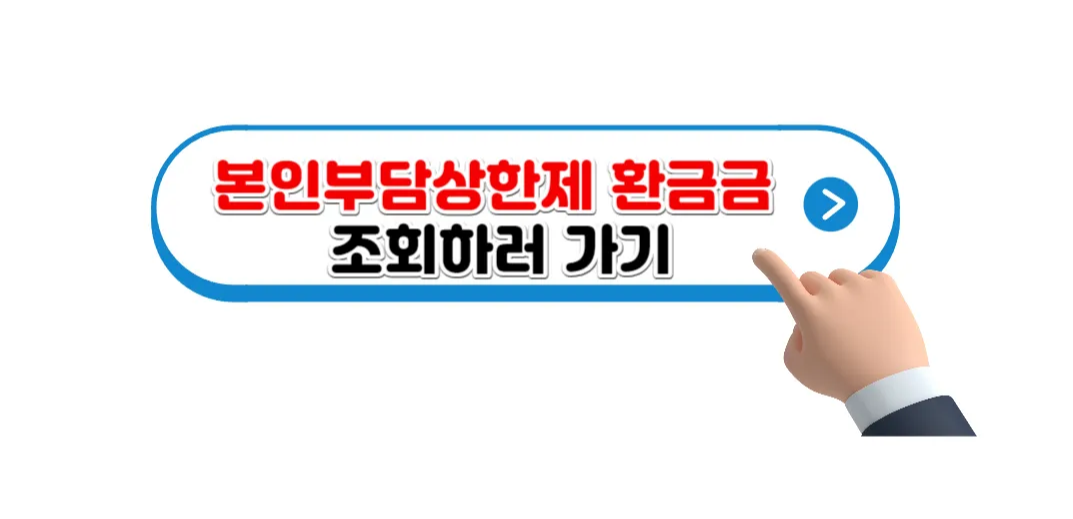 본인부담상한제