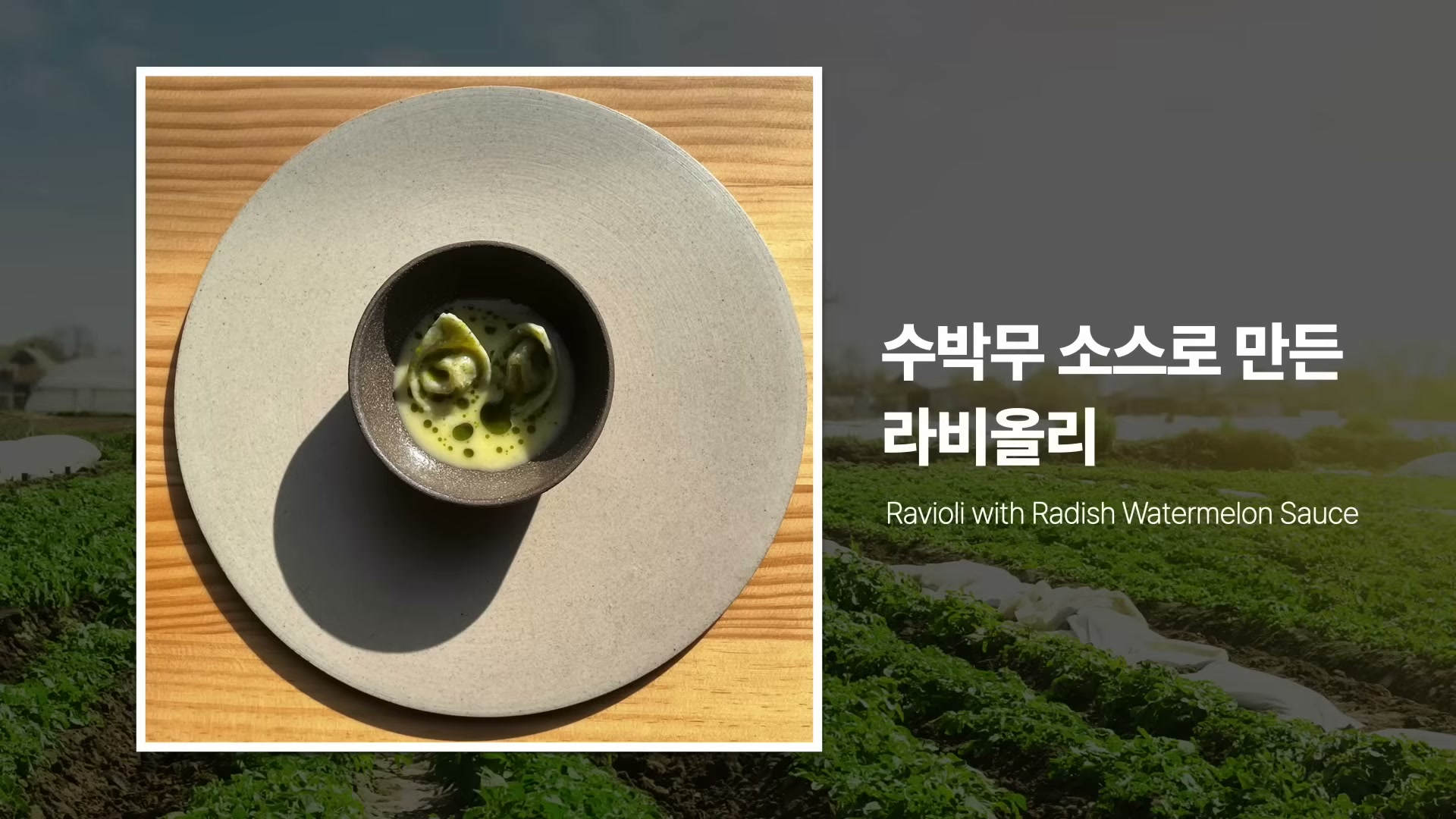 수박무라는 채소가 보이는 슬라이드 또는 농장 컷.