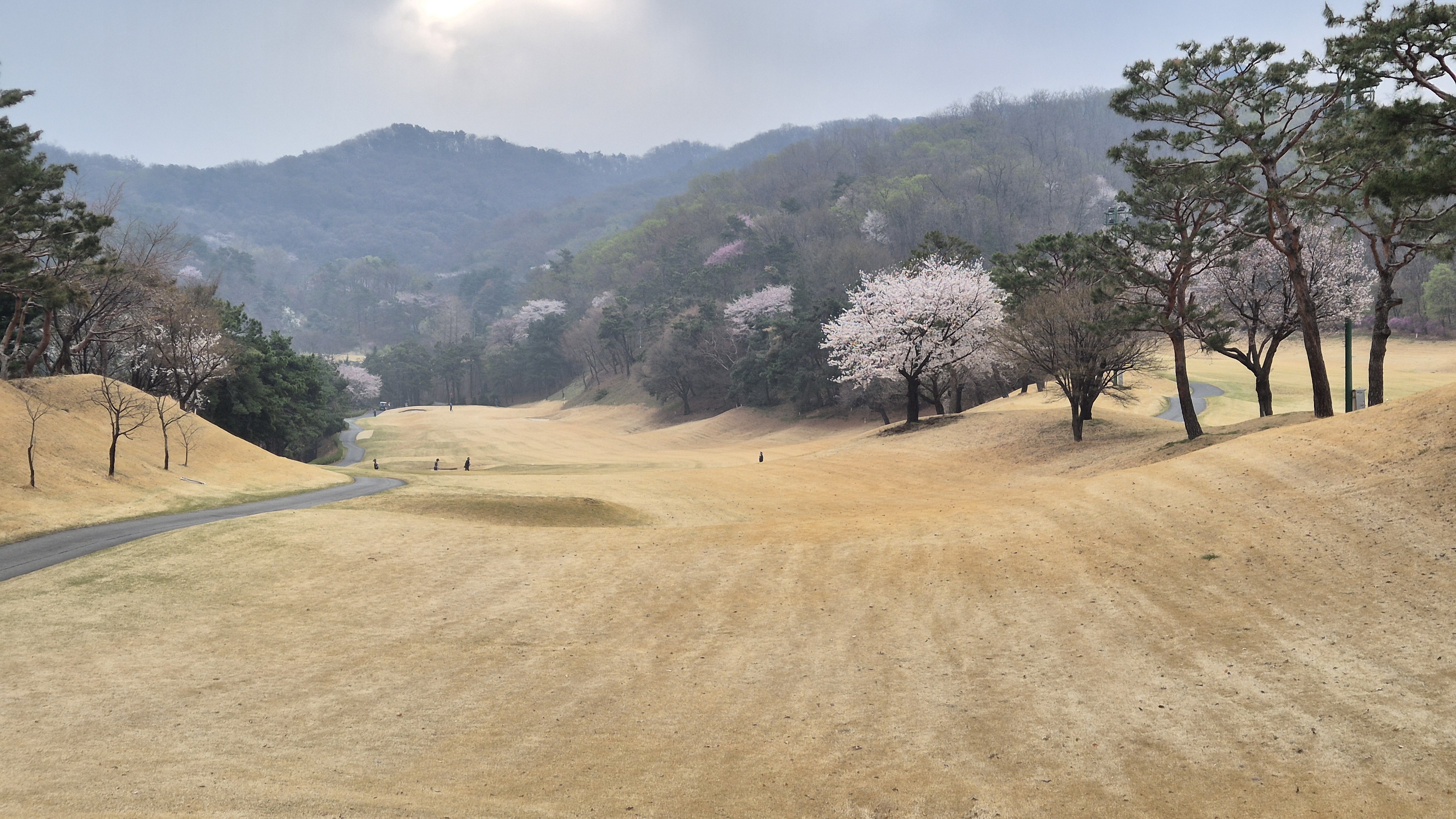 캐슬렉스cc