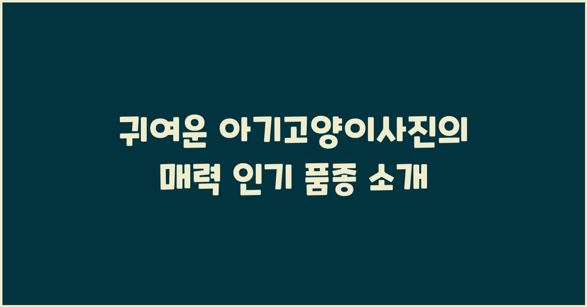귀여운아기고양이사진