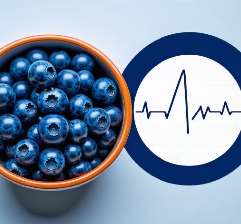 혈압 관리에 좋은 블루베리와 안정적인 그래프 이미지가 있습니다.