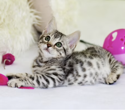 수능 응원 문구