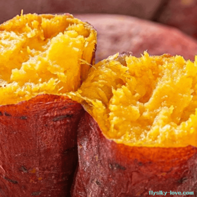 맛과 영양이 가득한 호박고구마