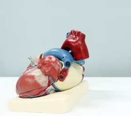 협심증 초기증상 치료방법 원인