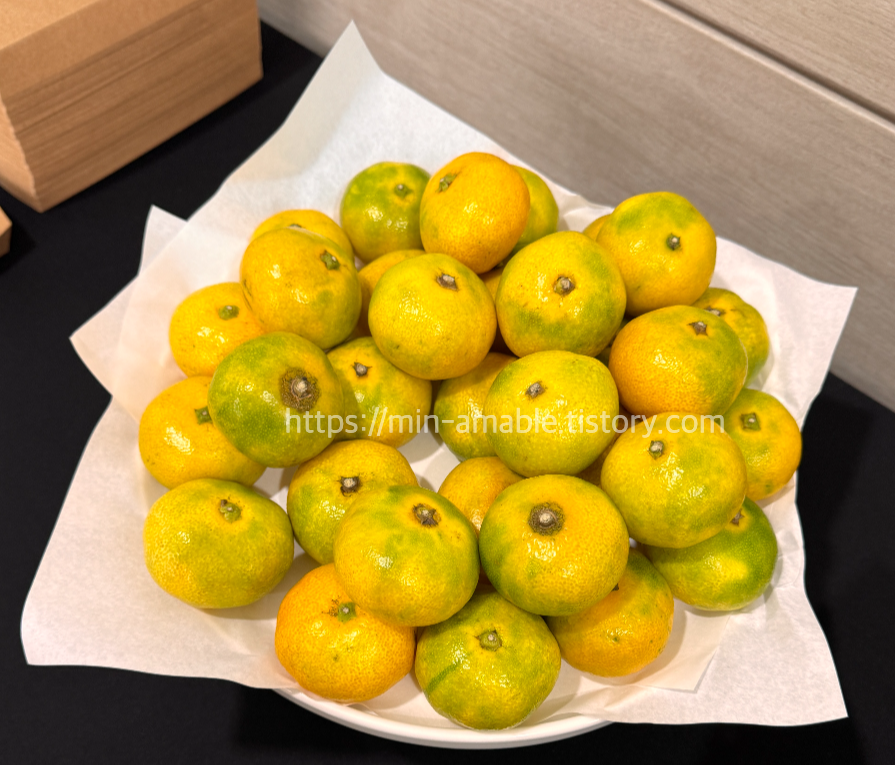 세종학당_한국어예비교원_사전교육15일차