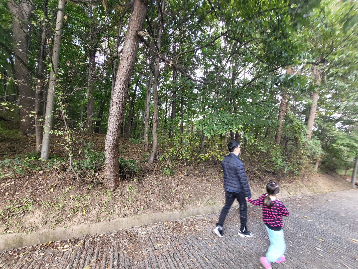 청주 부모산 연화사