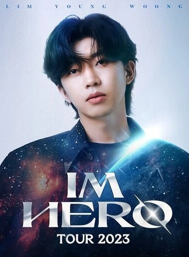 임영웅 콘서트 암표 180만 원