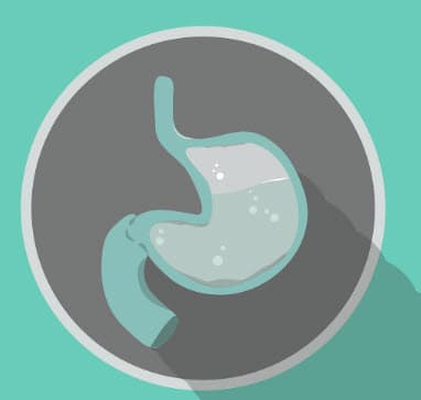 🥸과식하면 우리 몸에서 벌어지는 충격적인 변화 5가지 (식곤증&middot;위산역류의 진짜 이유)