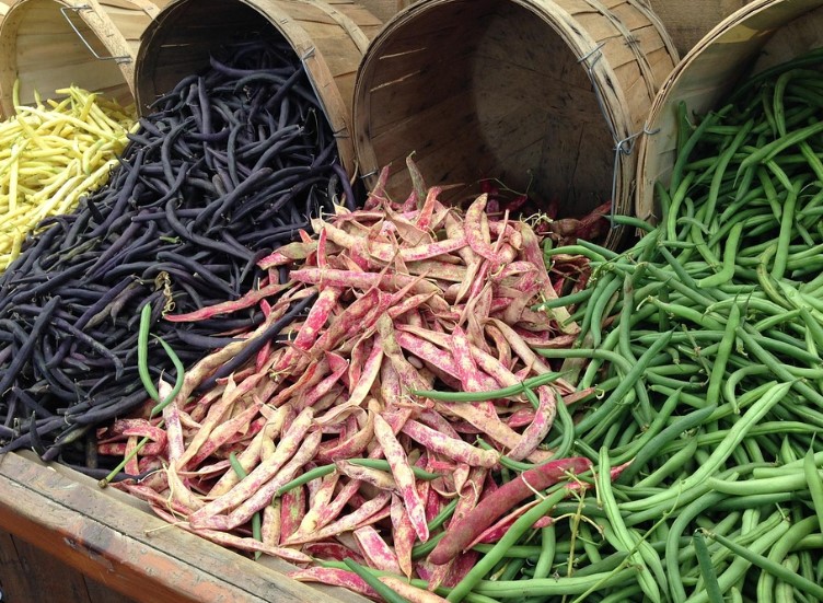 갱년기 이기는 건강식