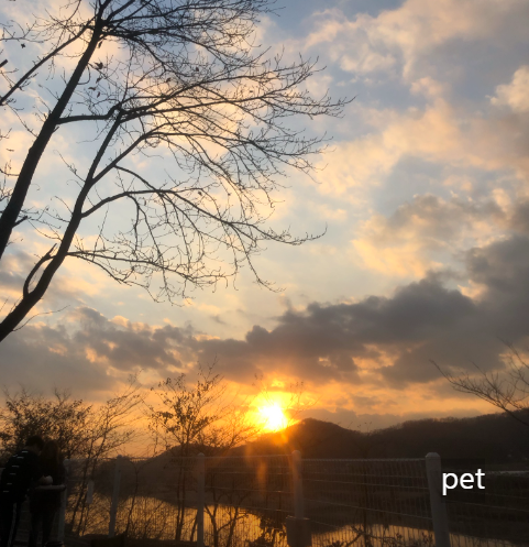 경기-파주-강나루야영-예약-방법-애견-동반-가격-주소-시간-후기