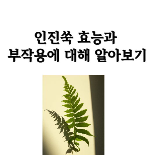 인진쑥 효능과 부작용