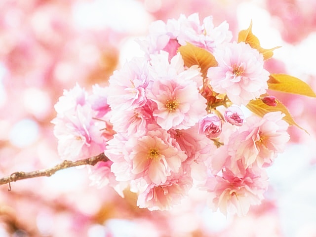 건축물대장 발급방법