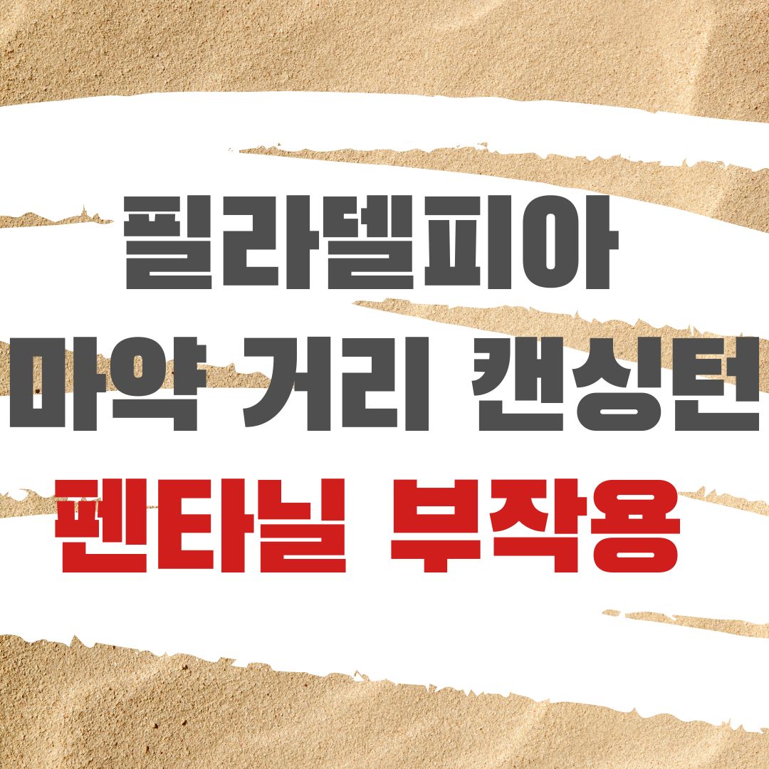 필라델피아 마약 거리 펜타닐 부작용 좀비랜드 고통받는 캔싱턴