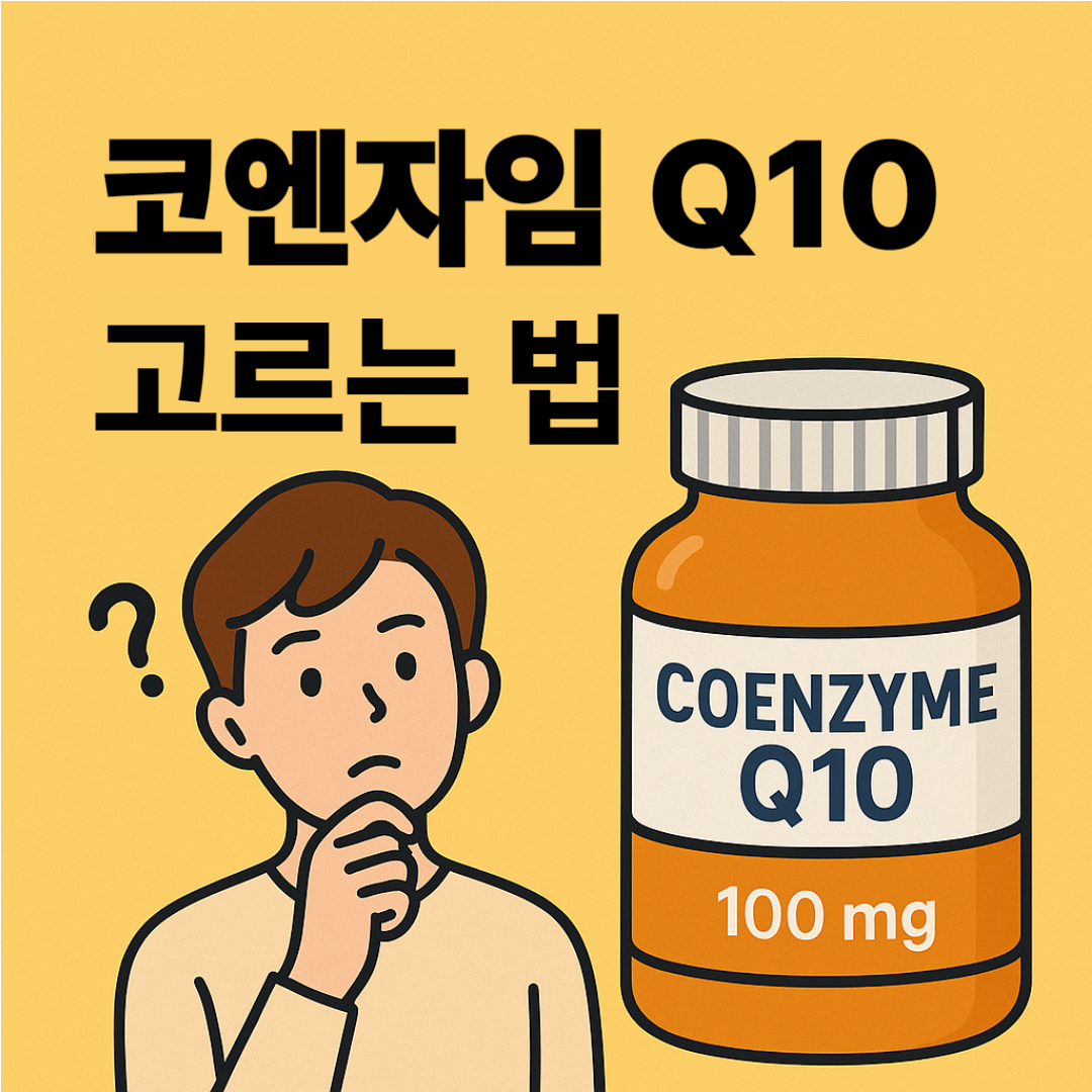 코엔자임 Q10 추천｜유비퀴놀 vs 코엔자임큐텐, 40대부터 이렇게 고르세요 썸네일