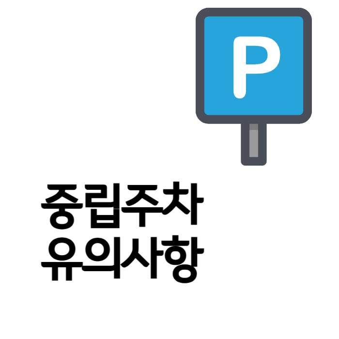 중립주차주의사항
