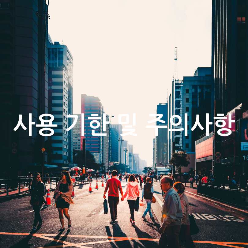 민생회복 소비쿠폰 사용처