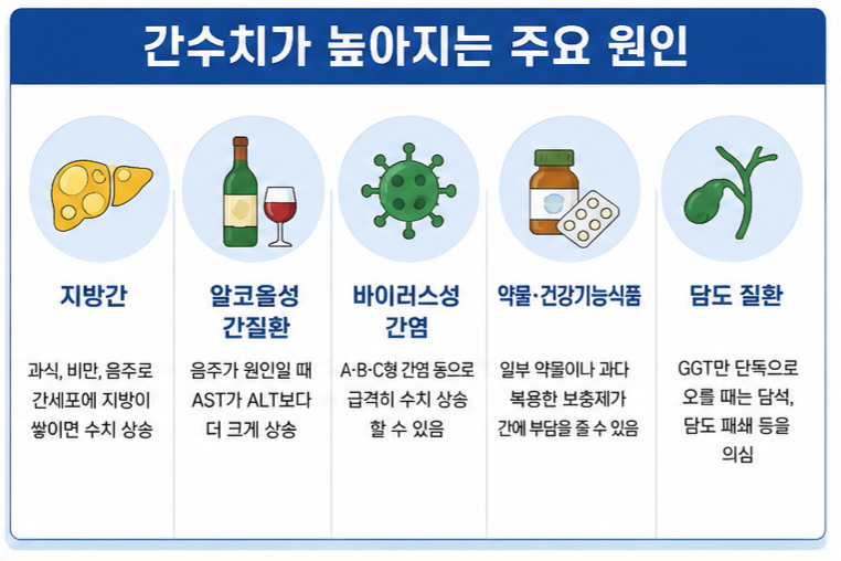 간수치 높은 원인 인포그래픽
