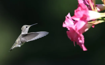종아리 근육 통증 원인 바로 확인 12