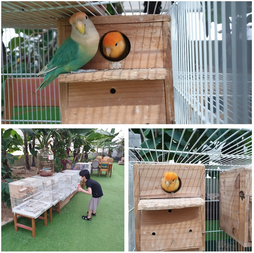 바오밥식물원베이커리카페 후기