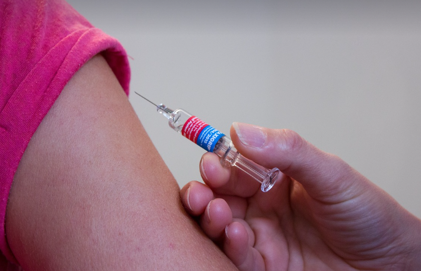 예방접종의 모습