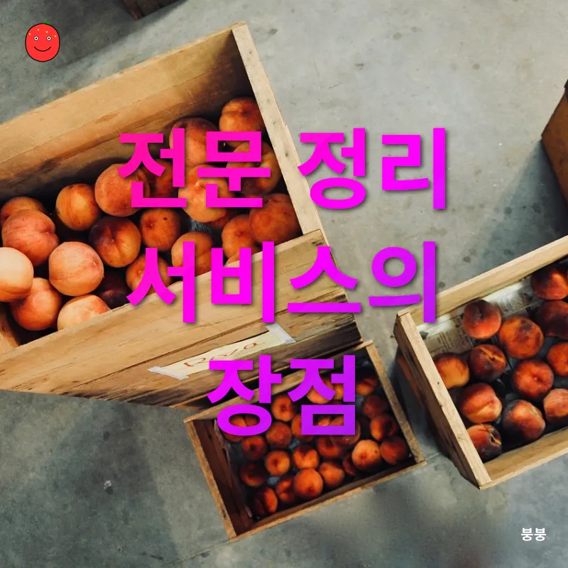 집 정리와 수납 습관_3