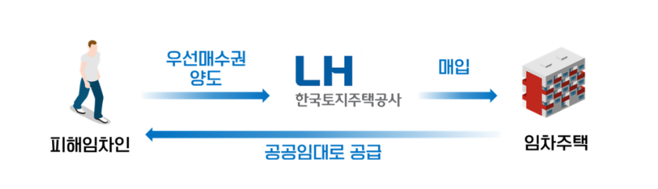 전세사기 특별법