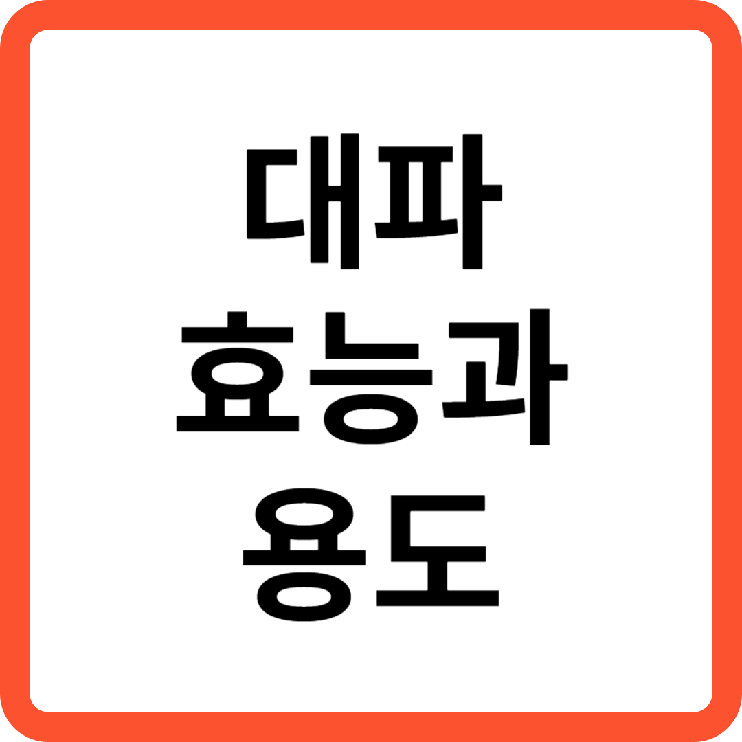 대파 효능과 용도