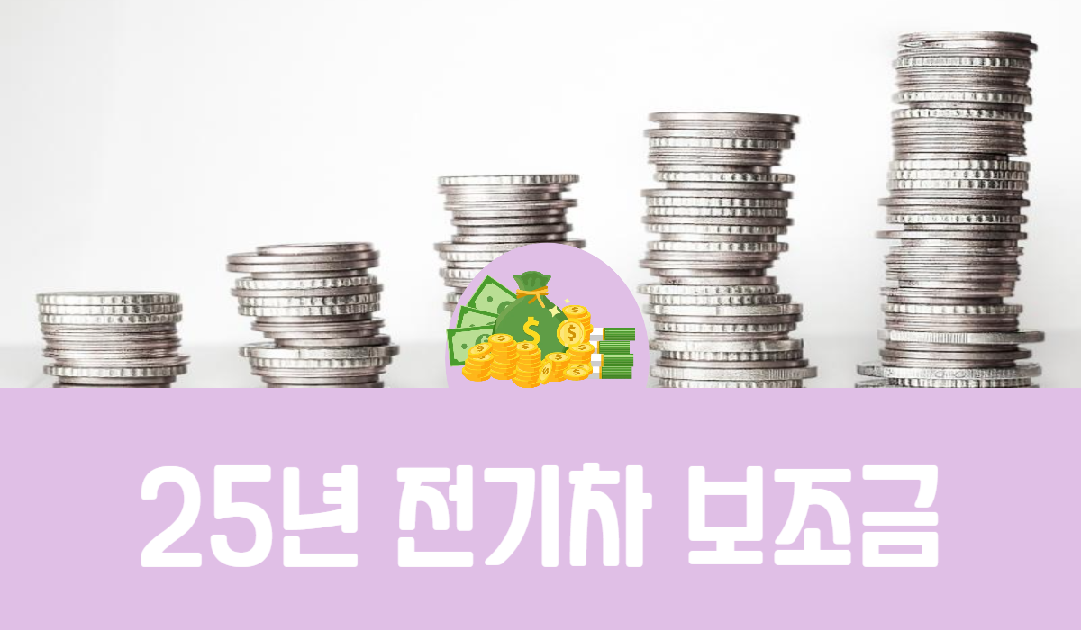 25년 전기차 보조금