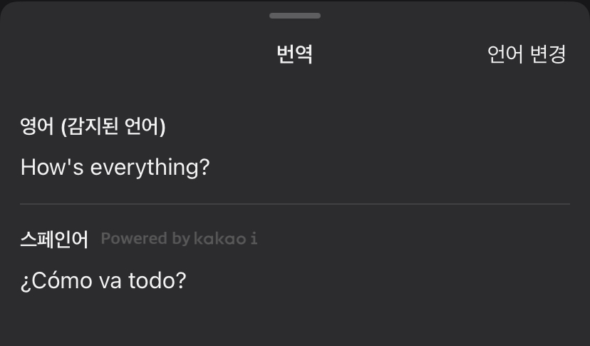 스페인어 번역