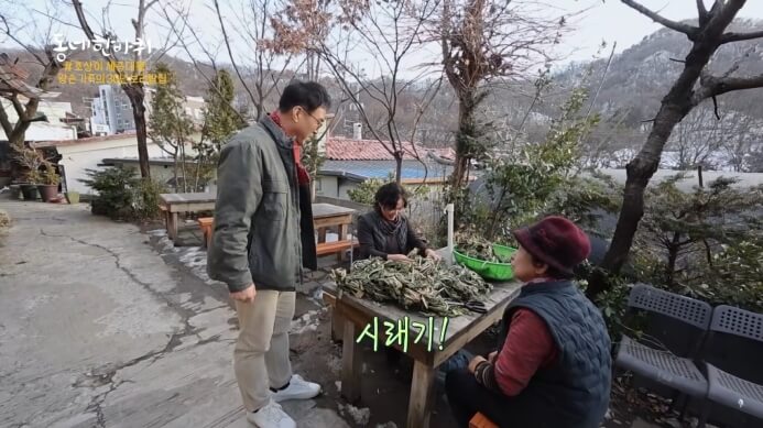 시래기