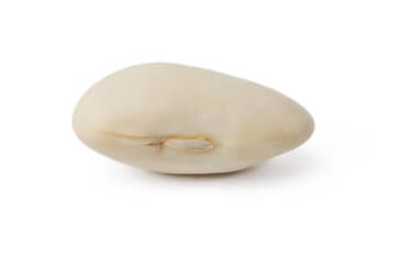 작두콩차 효능은 많이 있습니다. 특히 비염에 최고이고 작두콩차는 환절기에 꼭 필요한 식품이지요