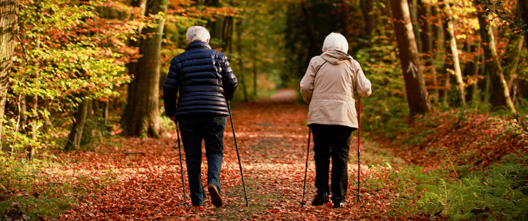 산책하는 노부부의 뒷모습