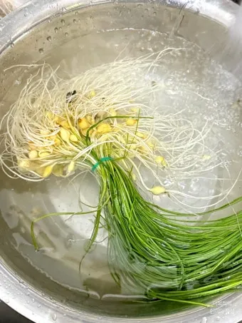 달래 손질 방법 달래장 맛있게 꿀팁_13