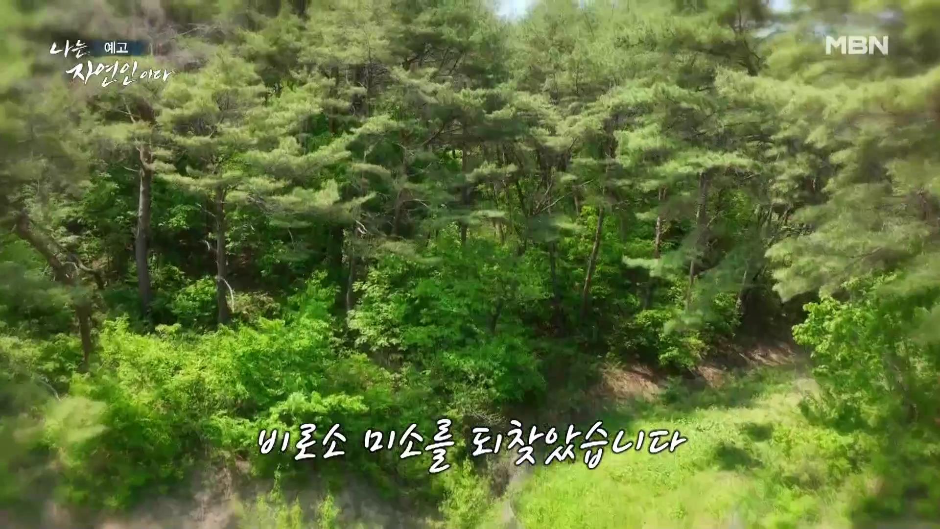 나는 자연인이다 남편 뇌출혈 병간호 산골 의녀 윤장금 마운틴 허니 치킨 당신과 함께였다면 자연인 윤부연 소개 및 윤택 출연 555회 다시보기